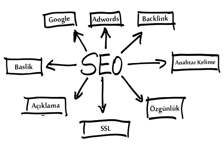 SEO uzmanı