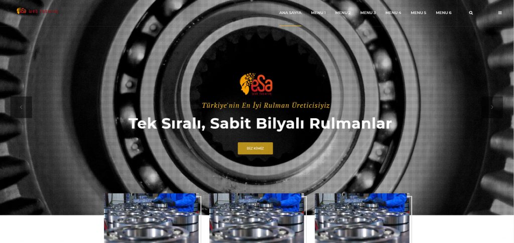 Rulman Web Tasarımı