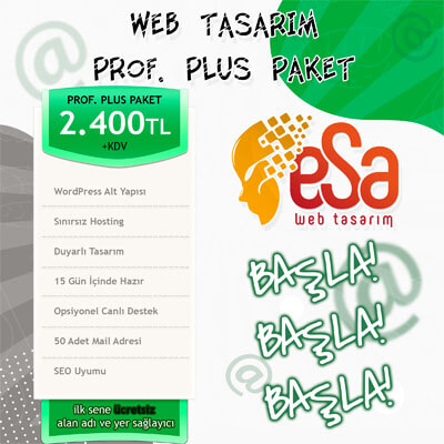 profesyonel plus internet sitesi paketi