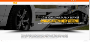 Göker Oto Web Sitesi ve Google ADS Reklam Danışmanlığı